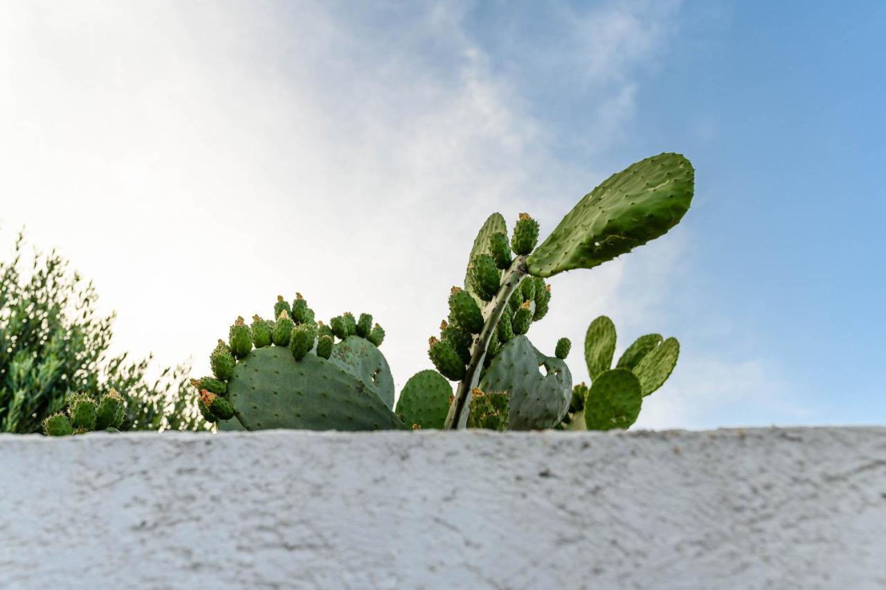 Charming Villas - Villa D'Itria With Trullo Ostuni Exterior photo